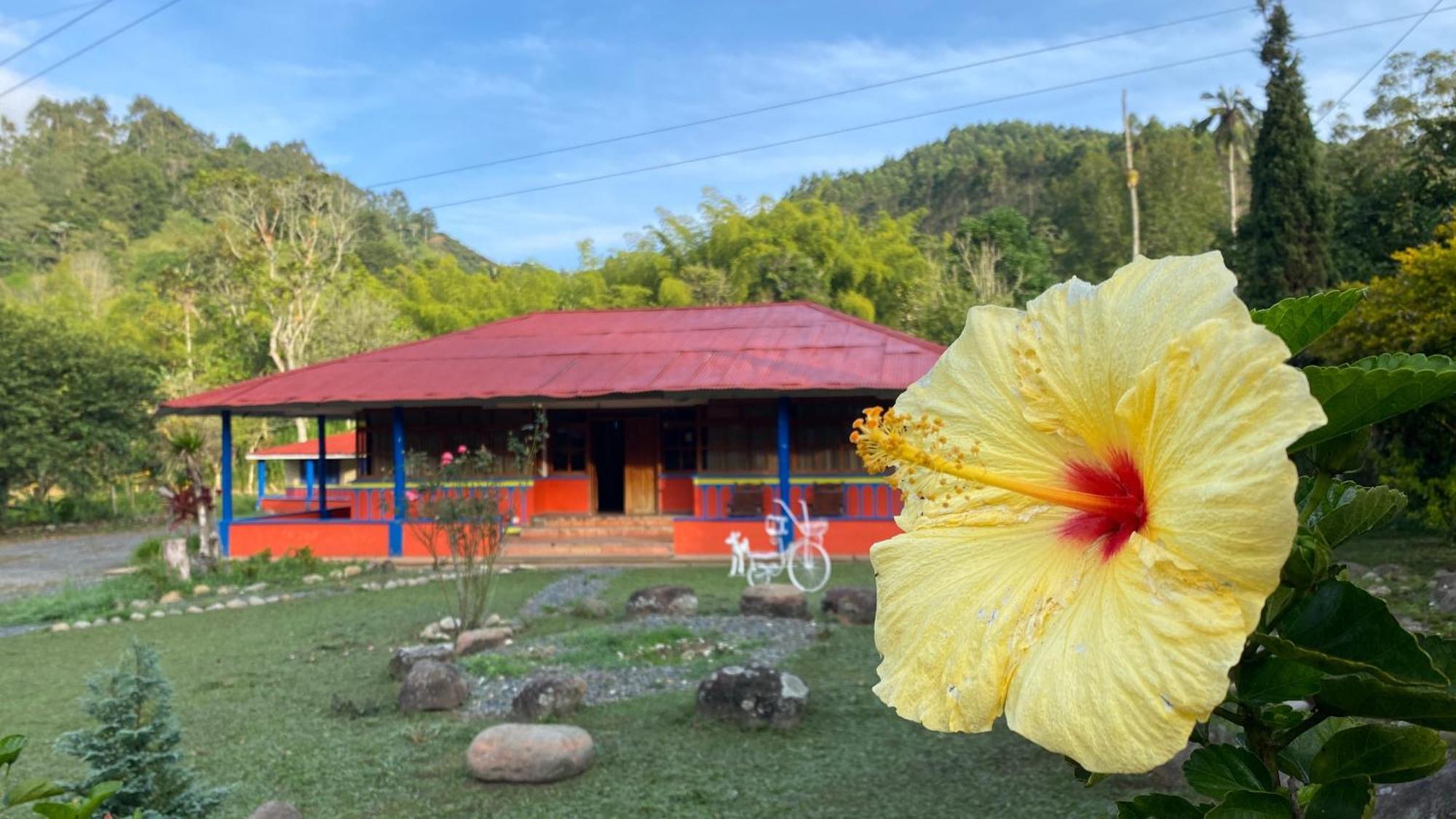 Brisas Del Rio Salento Guest House Exterior photo